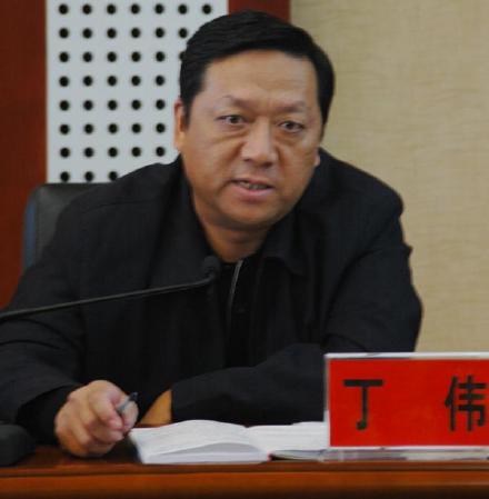 丁伟,湖北省农业发展银行行长